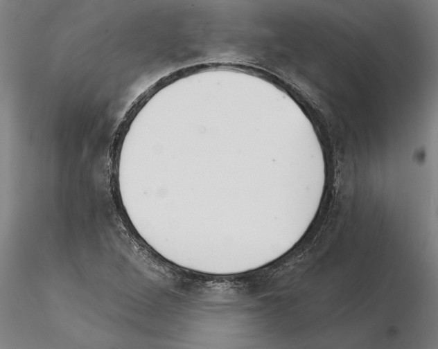 X0000115271264200912111155