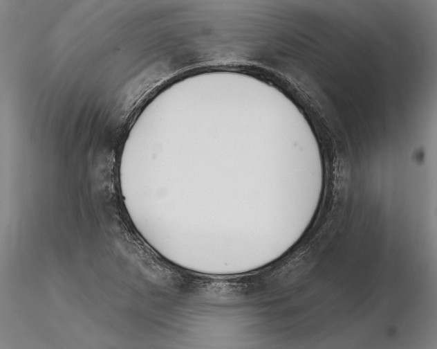 X0000115271265200912111155