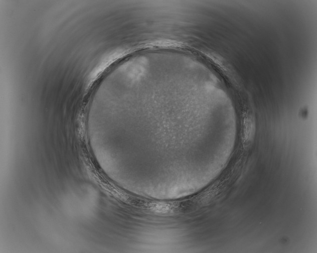 X0000115271266200912111155