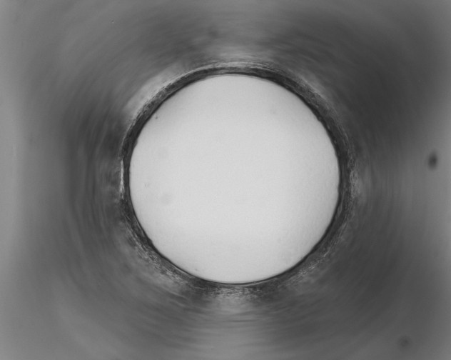 X0000115271267200912111155