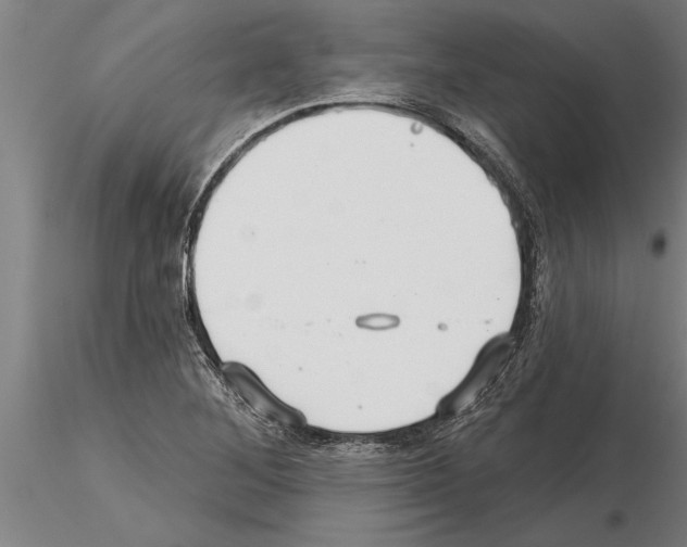 X0000115271268200912111155