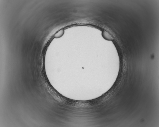 X0000115271270200912111155