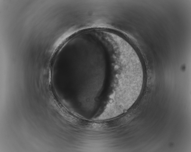 X0000115271271200912111155