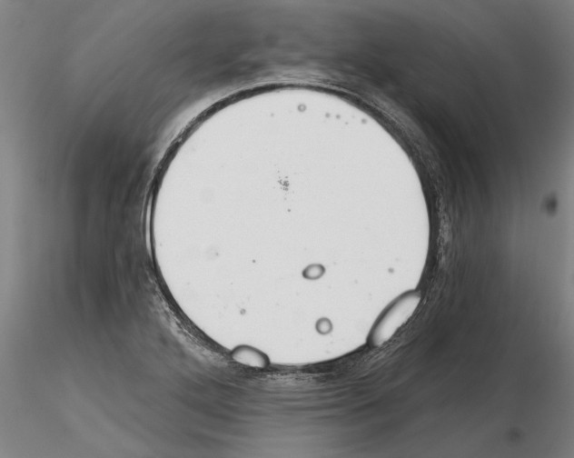 X0000115271272200912111155