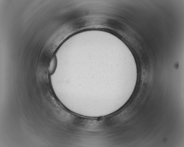 X0000115271273200912111155