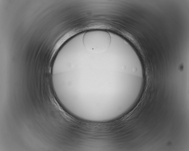 X0000115271274200912111155