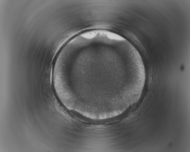 X0000115271276200912111155