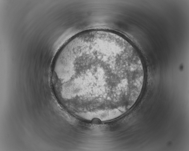 X0000115271277200912111155