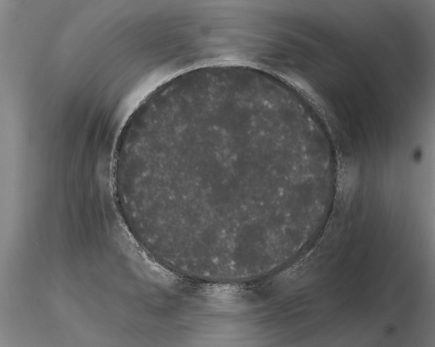 X0000115271278200912111155