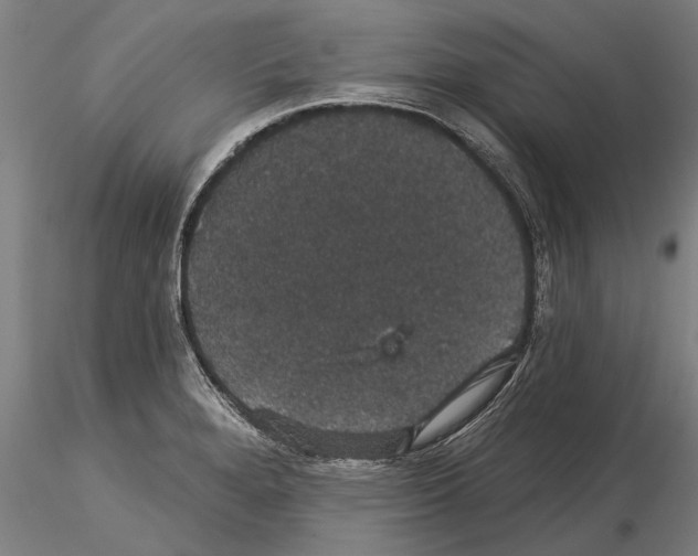 X0000115271280200912111155