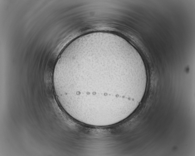 X0000115271281200912111155