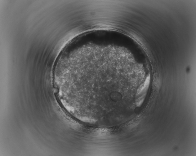 X0000115271283200912111155