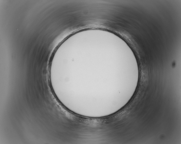 X0000115271286200912111155