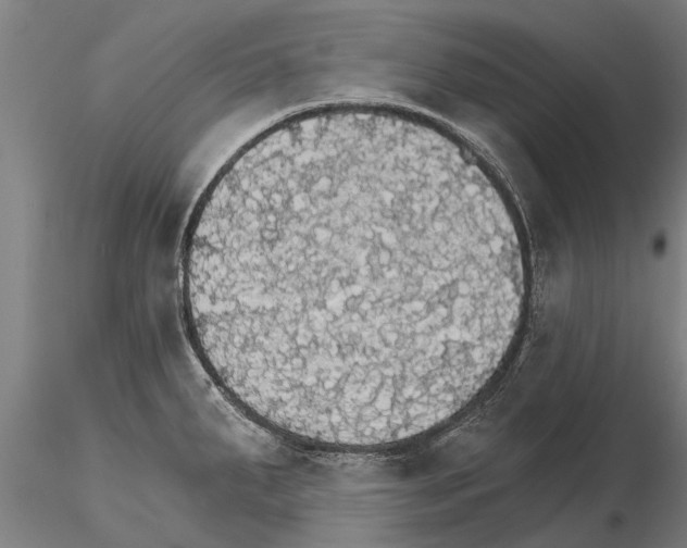 X0000115271287200912111155