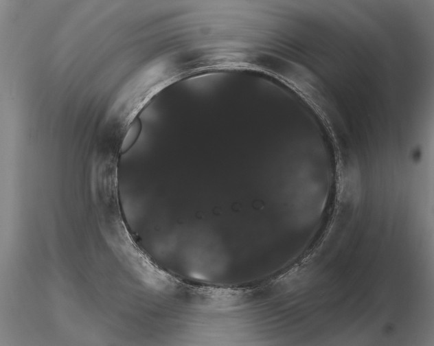 X0000115271289200912111155