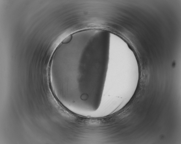 X0000115271291200912111155