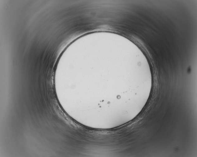 X0000115271292200912111155