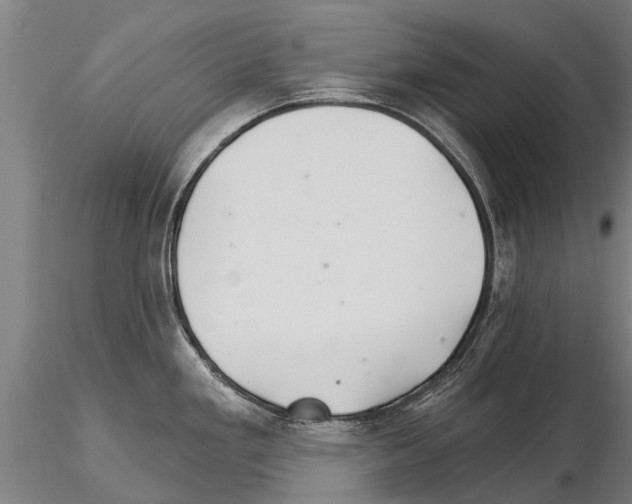 X0000115271293200912111155