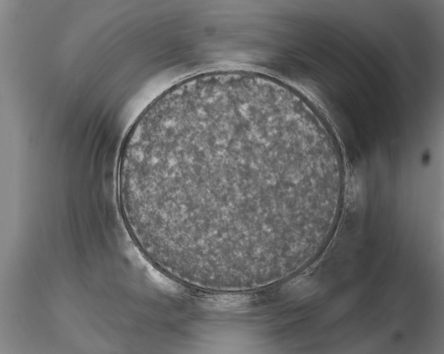 X0000115271294200912111154