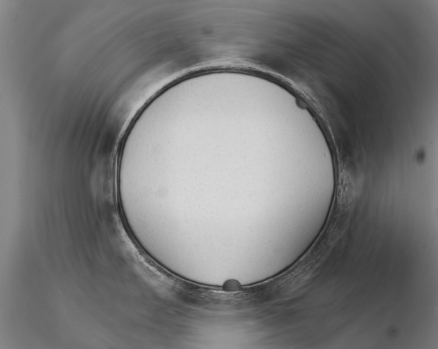 X0000115271295200912111154