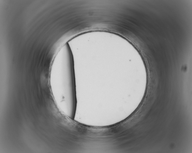 X0000115271296200912111154