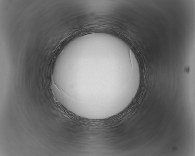 X0000115271297200912111154