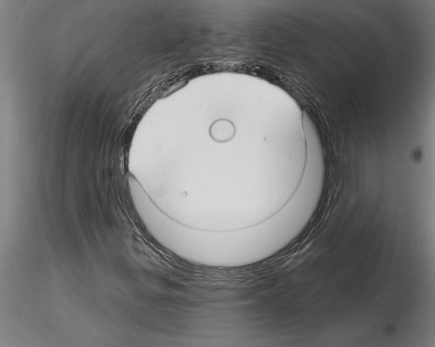 X0000115271299200912111154