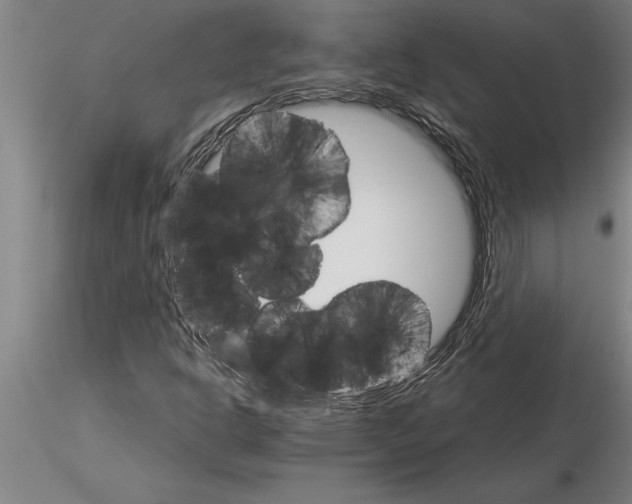 X0000115271302200912111154