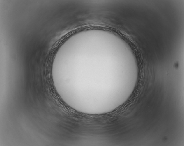 X0000115271303200912111154