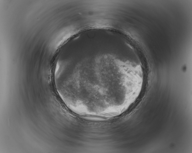 X0000115271306200912111154