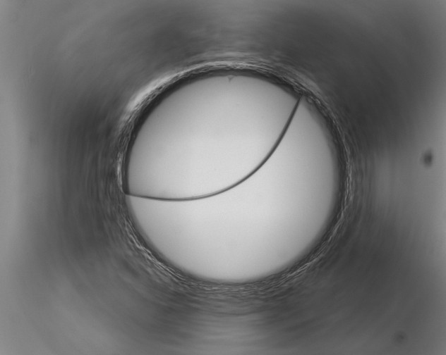 X0000115271310200912111154