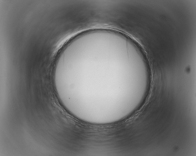 X0000115271311200912111154