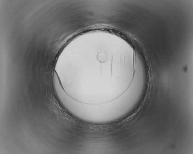 X0000115271313200912111154