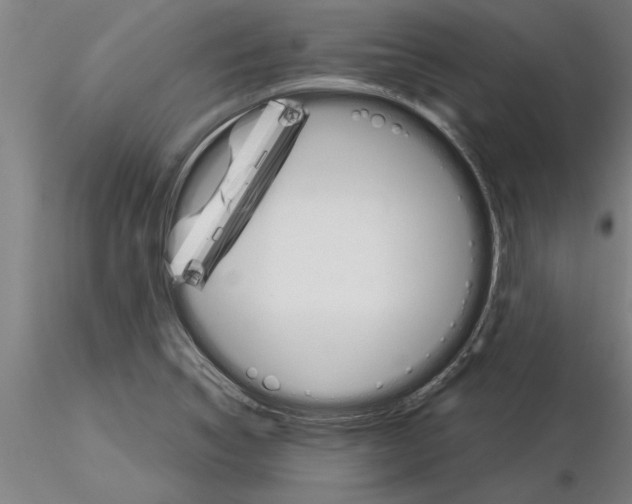 X0000115271314200912111154