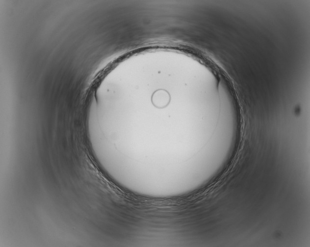 X0000115271315200912111154