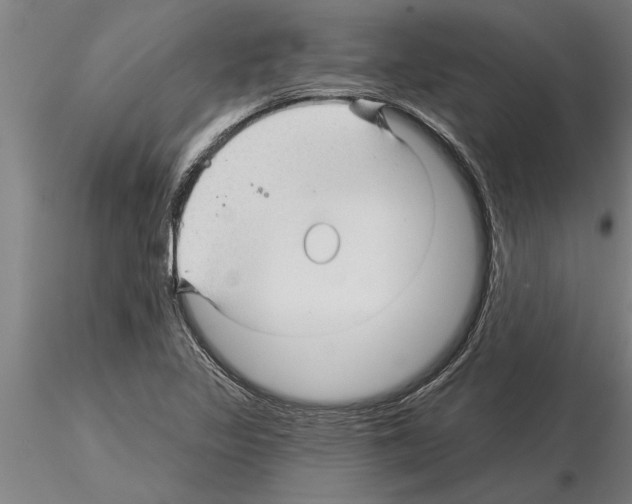 X0000115271317200912111154