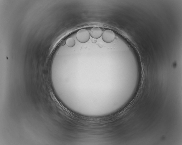 X0000115271318200912111154