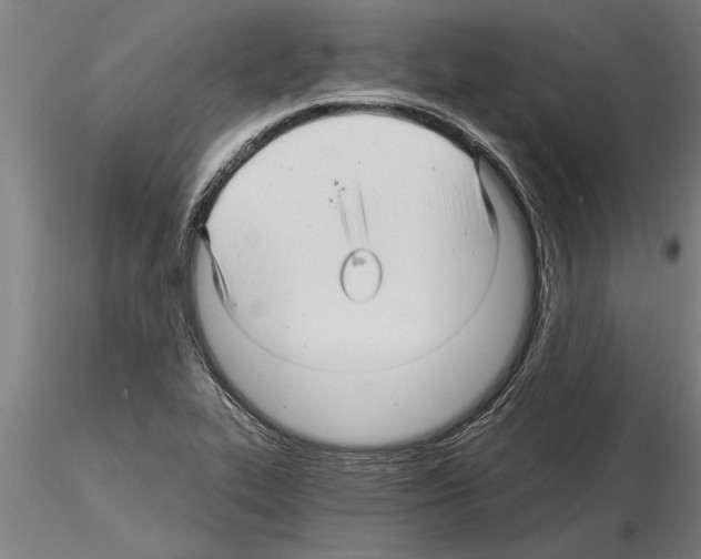 X0000115271319200912111154