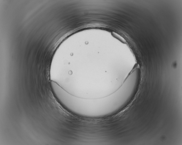 X0000115271321200912111154