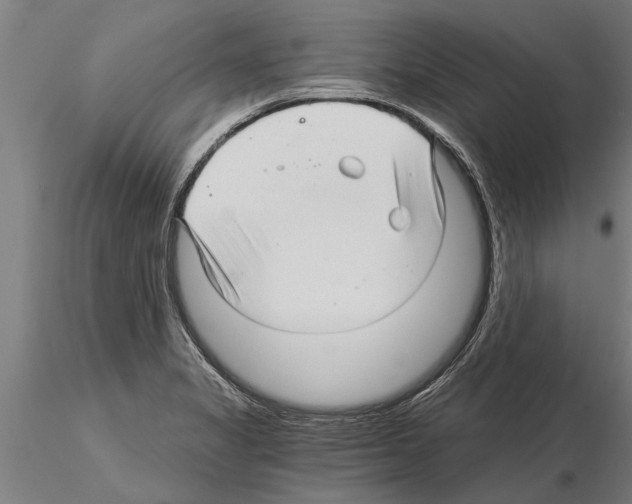 X0000115271325200912111154