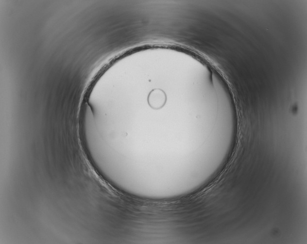 X0000115271327200912111154