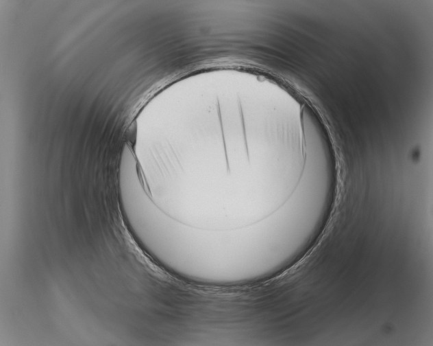 X0000115271329200912111154