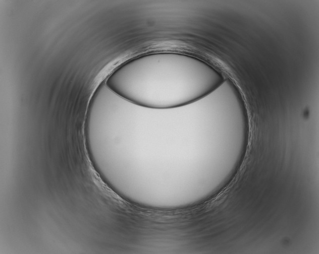 X0000115271330200912111154