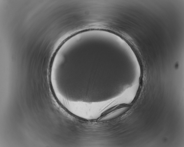 X0000115271334200912111154