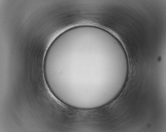 X0000115271335200912111154