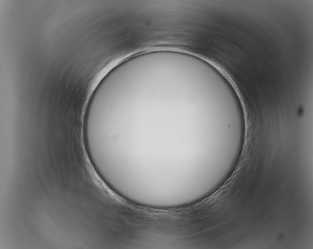 X0000115271341200912111154