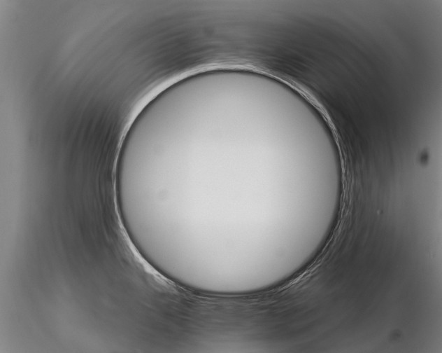 X0000115271343200912111154