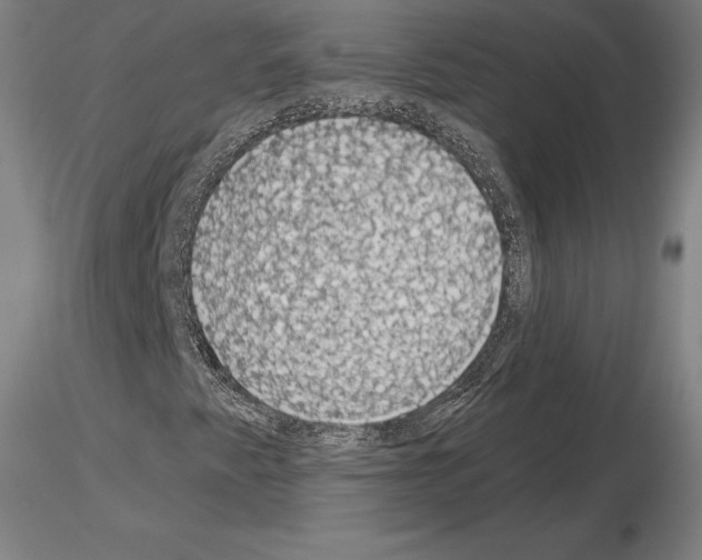 X0000115271345200912111154