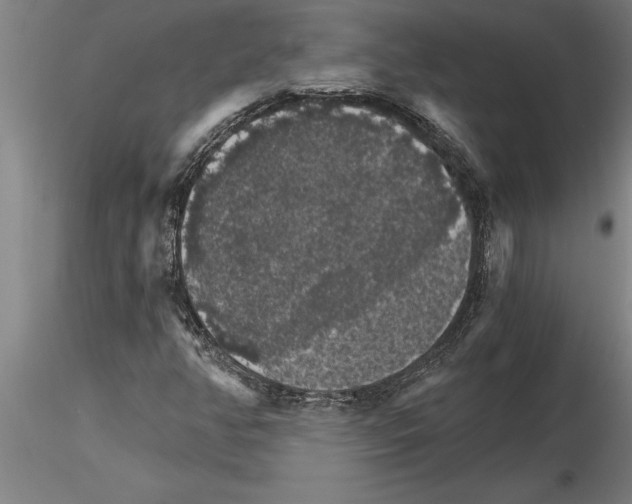 X0000115271350200912111154