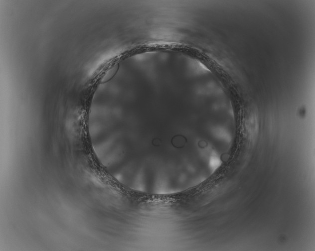 X0000115271351200912111154